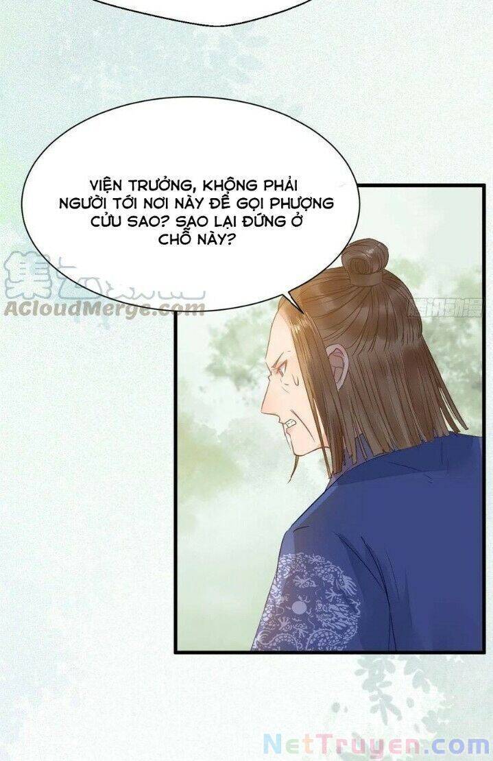Tuyệt Sắc Quyến Rũ: Quỷ Y Chí Tôn Chap 269 - Next Chap 270