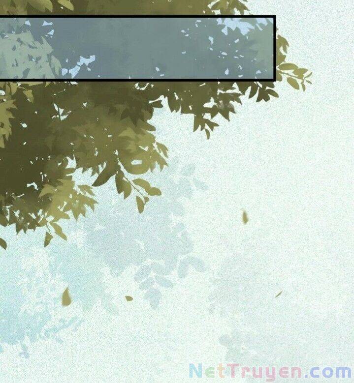 Tuyệt Sắc Quyến Rũ: Quỷ Y Chí Tôn Chap 269 - Next Chap 270