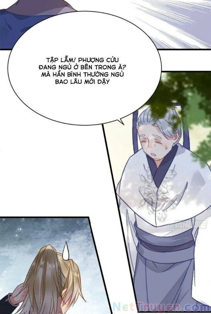 Tuyệt Sắc Quyến Rũ: Quỷ Y Chí Tôn Chap 269 - Next Chap 270