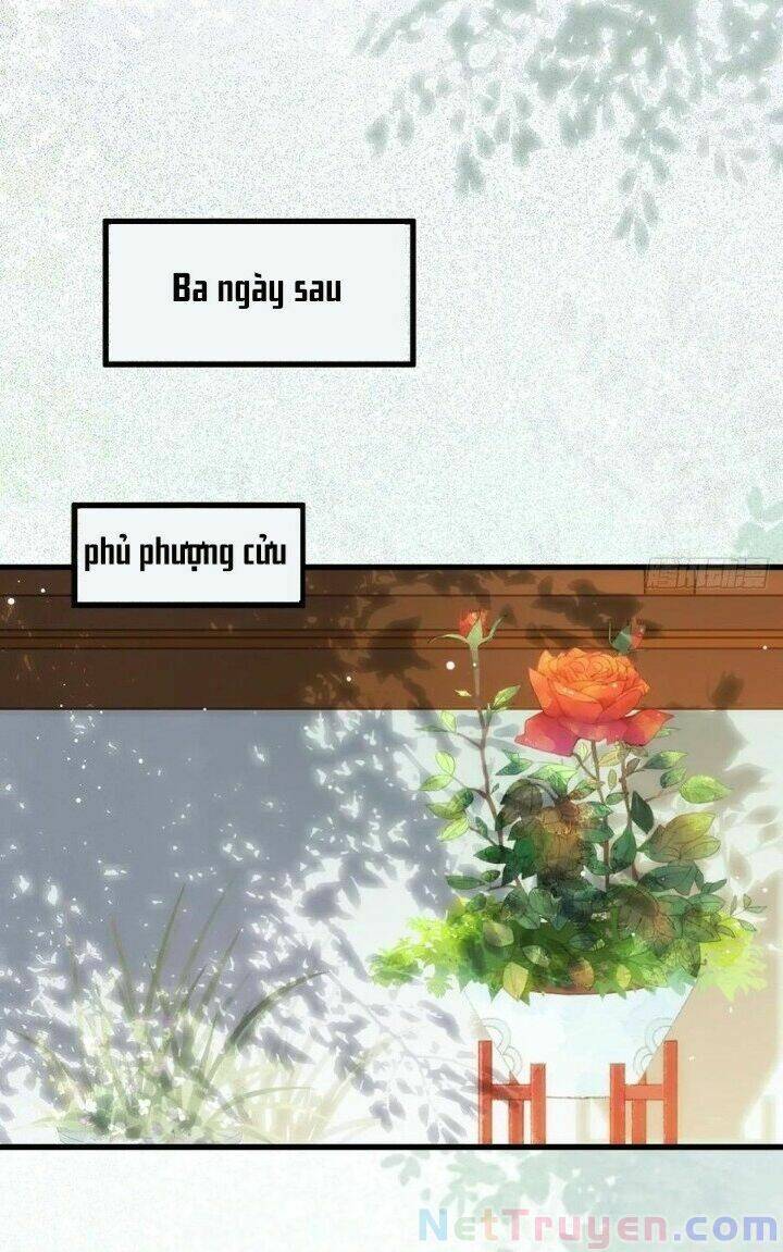 Tuyệt Sắc Quyến Rũ: Quỷ Y Chí Tôn Chap 271 - Next Chap 272