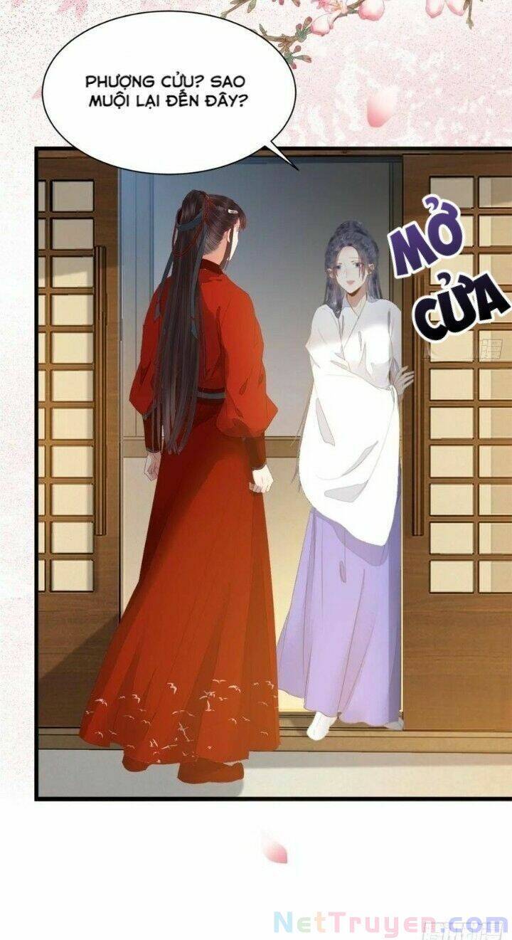 Tuyệt Sắc Quyến Rũ: Quỷ Y Chí Tôn Chap 273 - Next Chap 274