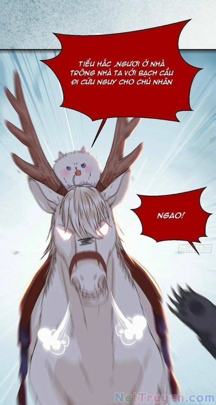 Tuyệt Sắc Quyến Rũ: Quỷ Y Chí Tôn Chap 276 - Next Chap 277