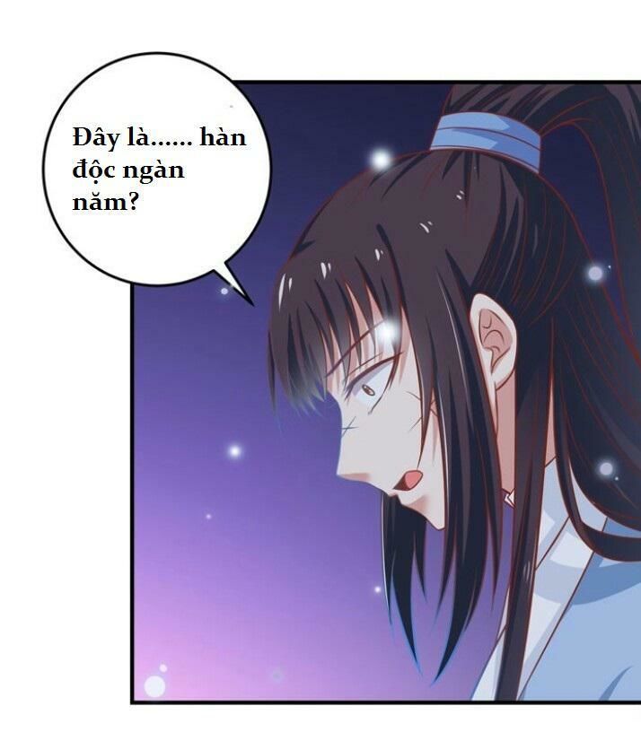 Tuyệt Sắc Quyến Rũ: Quỷ Y Chí Tôn Chap 28 - Next Chap 29