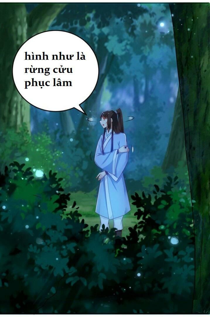 Tuyệt Sắc Quyến Rũ: Quỷ Y Chí Tôn Chap 28 - Next Chap 29