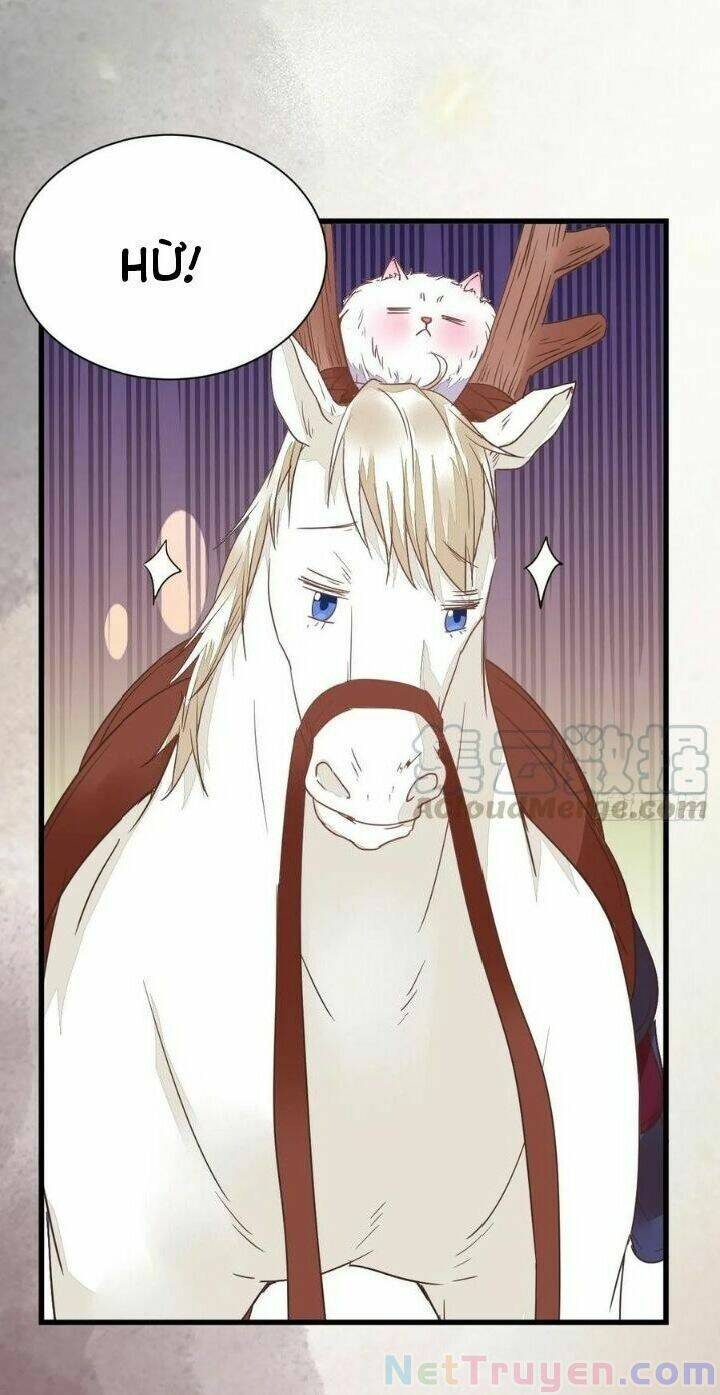 Tuyệt Sắc Quyến Rũ: Quỷ Y Chí Tôn Chap 280 - Next Chap 281