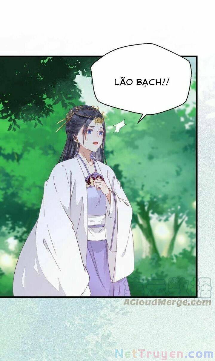 Tuyệt Sắc Quyến Rũ: Quỷ Y Chí Tôn Chap 280 - Next Chap 281