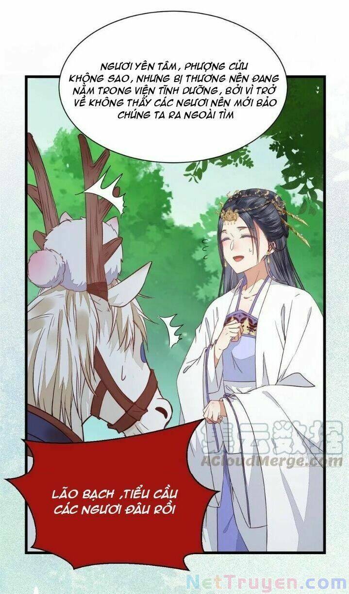 Tuyệt Sắc Quyến Rũ: Quỷ Y Chí Tôn Chap 280 - Next Chap 281