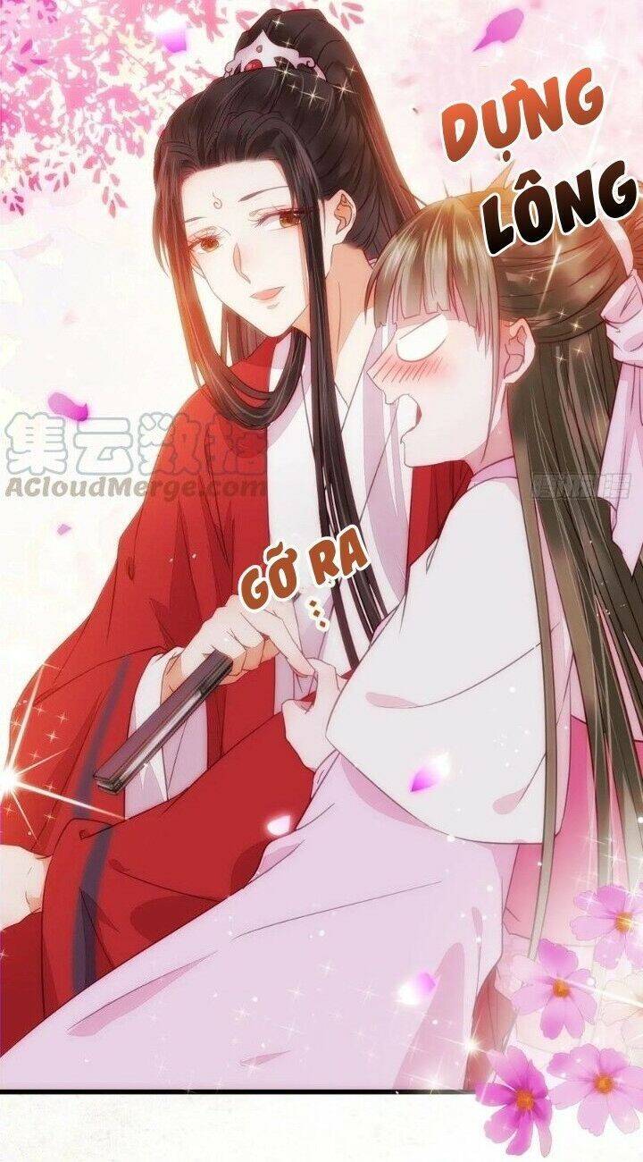 Tuyệt Sắc Quyến Rũ: Quỷ Y Chí Tôn Chap 282 - Next Chap 283