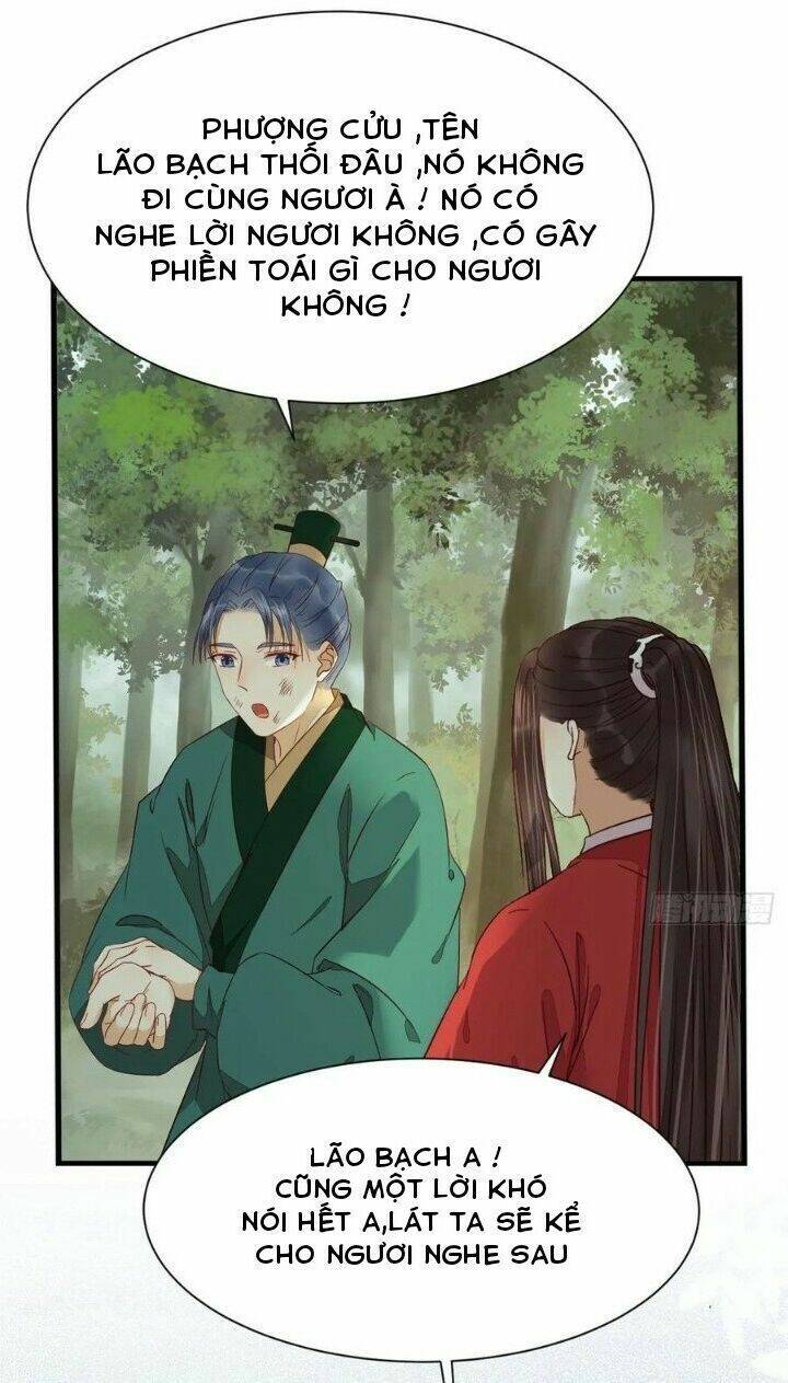 Tuyệt Sắc Quyến Rũ: Quỷ Y Chí Tôn Chap 284 - Next Chap 285