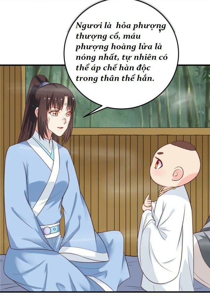 Tuyệt Sắc Quyến Rũ: Quỷ Y Chí Tôn Chap 29 - Next Chap 30