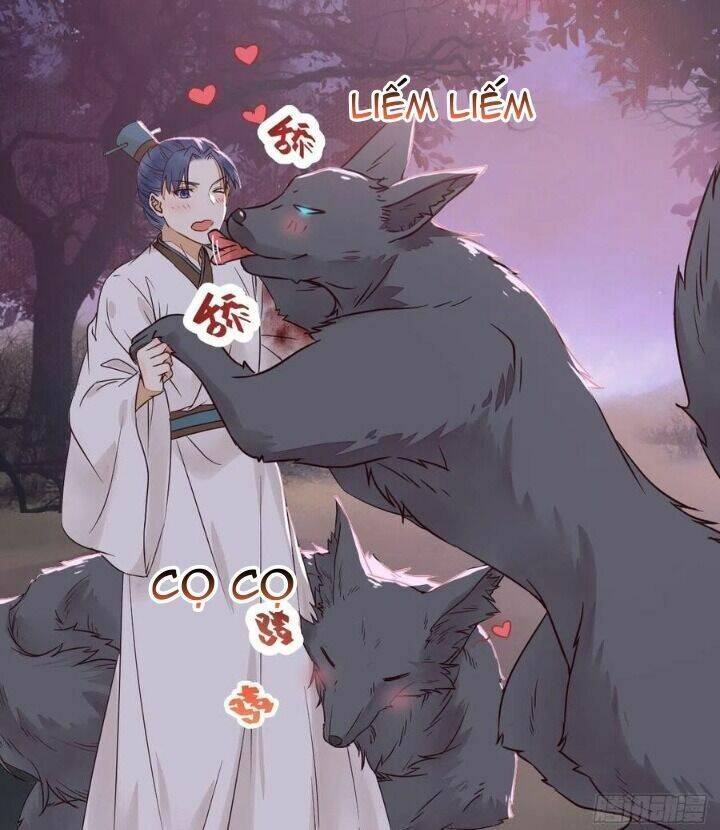 Tuyệt Sắc Quyến Rũ: Quỷ Y Chí Tôn Chap 312 - Next Chap 313