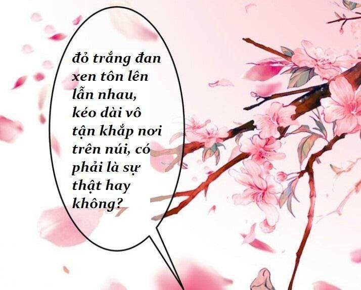 Tuyệt Sắc Quyến Rũ: Quỷ Y Chí Tôn Chap 33 - Next Chap 34