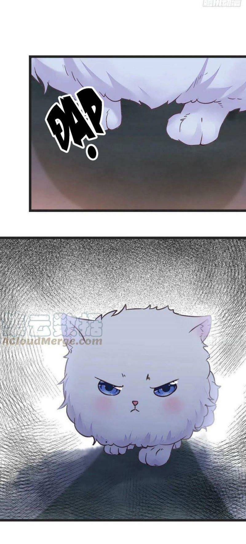Tuyệt Sắc Quyến Rũ: Quỷ Y Chí Tôn Chap 355 - Next Chap 356