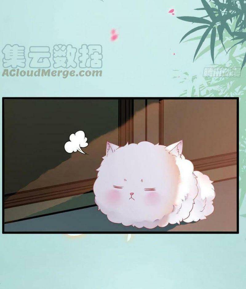 Tuyệt Sắc Quyến Rũ: Quỷ Y Chí Tôn Chap 376 - Next Chap 377