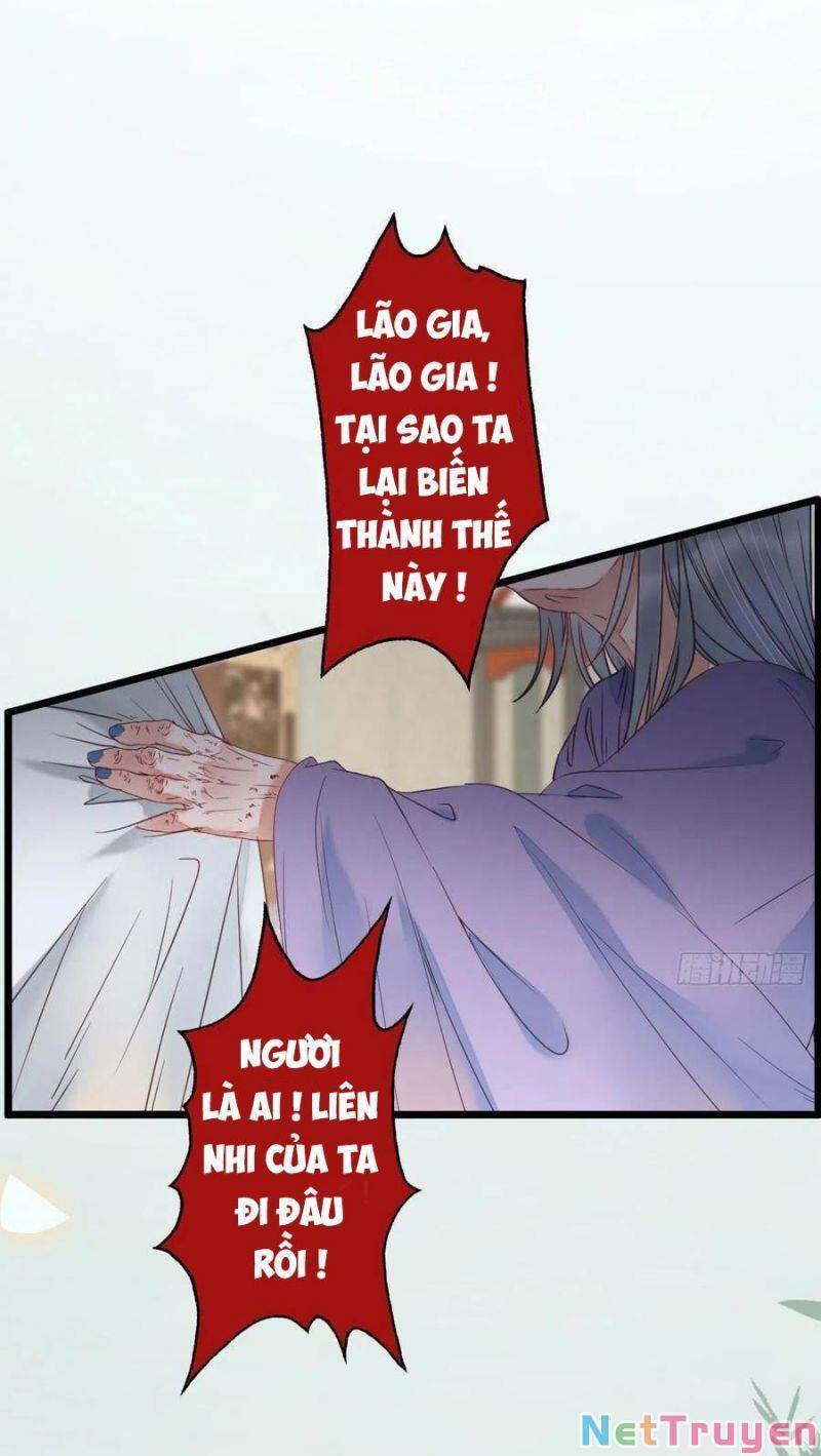 Tuyệt Sắc Quyến Rũ: Quỷ Y Chí Tôn Chap 381 - Next Chap 382