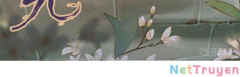 Tuyệt Sắc Quyến Rũ: Quỷ Y Chí Tôn Chap 444 - Next Chap 445