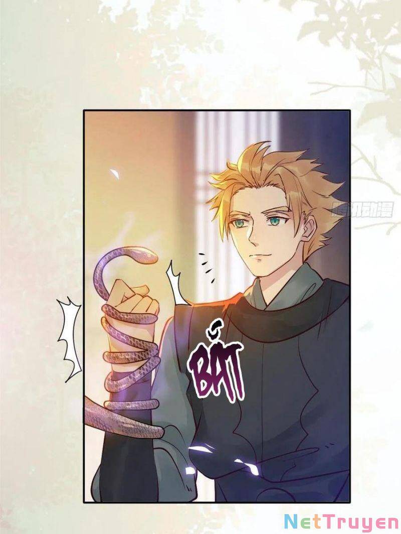 Tuyệt Sắc Quyến Rũ: Quỷ Y Chí Tôn Chap 444 - Next Chap 445