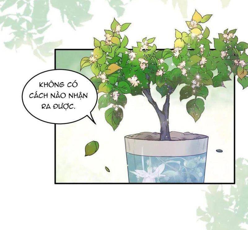 Tuyệt Sắc Quyến Rũ: Quỷ Y Chí Tôn Chap 451 - Next Chap 452