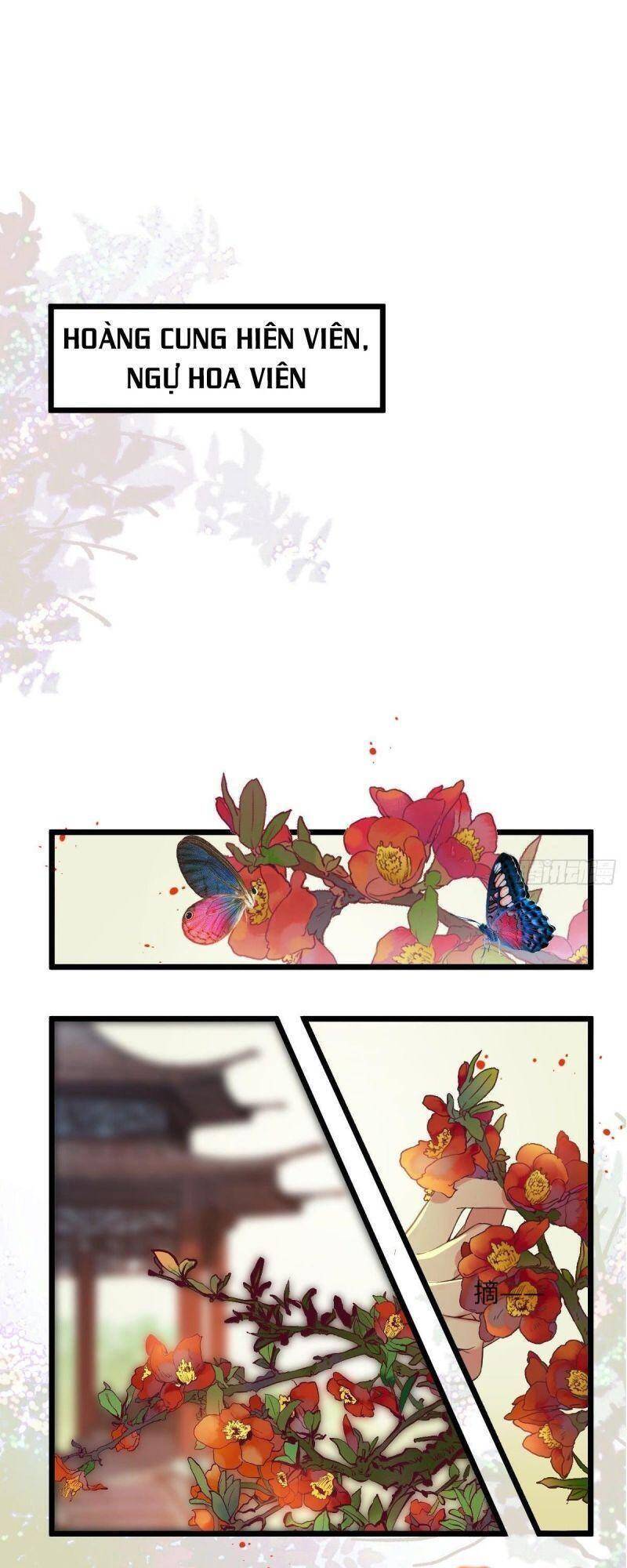 Tuyệt Sắc Quyến Rũ: Quỷ Y Chí Tôn Chap 464 - Next Chap 465