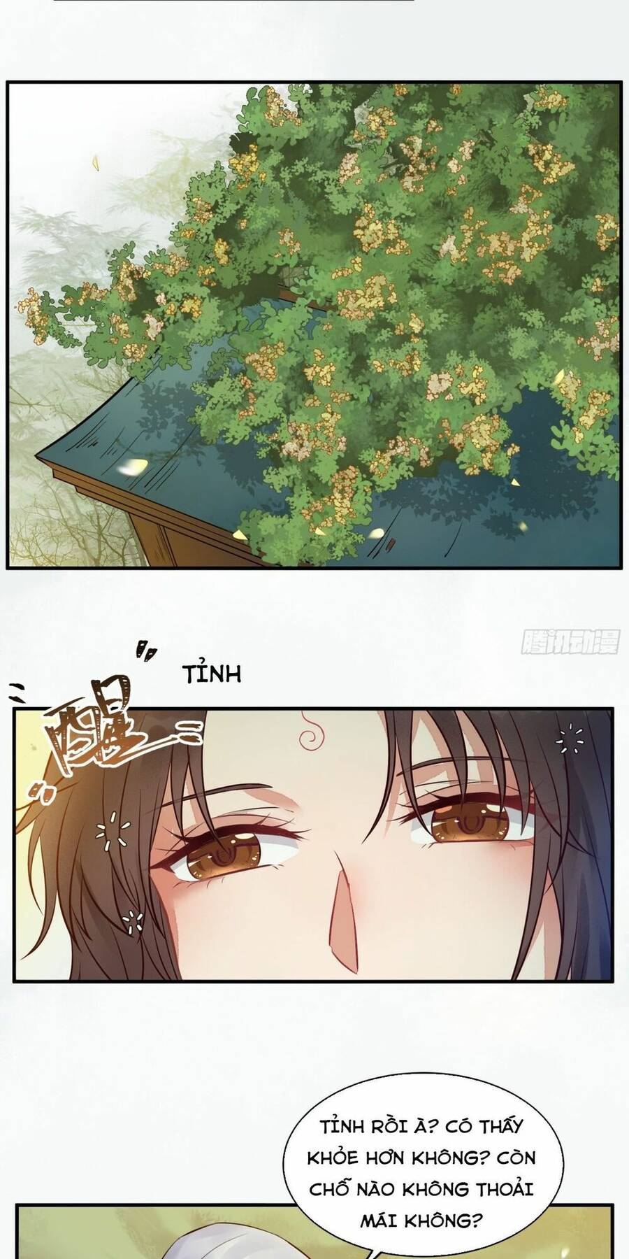 Tuyệt Sắc Quyến Rũ: Quỷ Y Chí Tôn Chap 4805 - Next Chap 4806