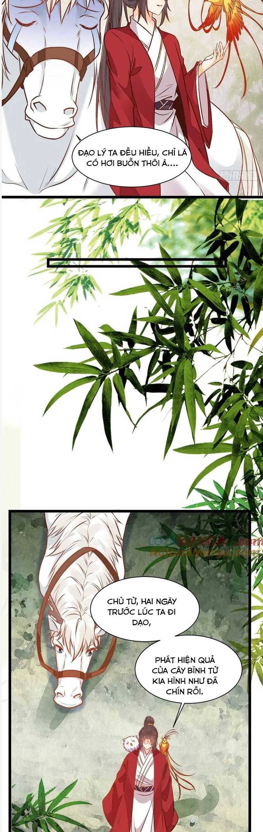 Tuyệt Sắc Quyến Rũ: Quỷ Y Chí Tôn Chap 504 - Next Chap 505