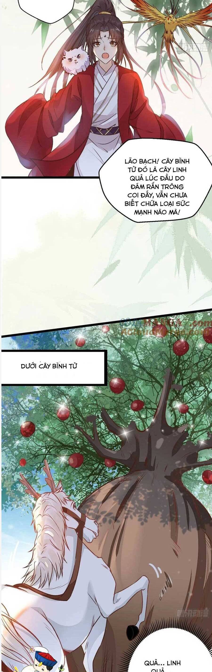 Tuyệt Sắc Quyến Rũ: Quỷ Y Chí Tôn Chap 504 - Next Chap 505