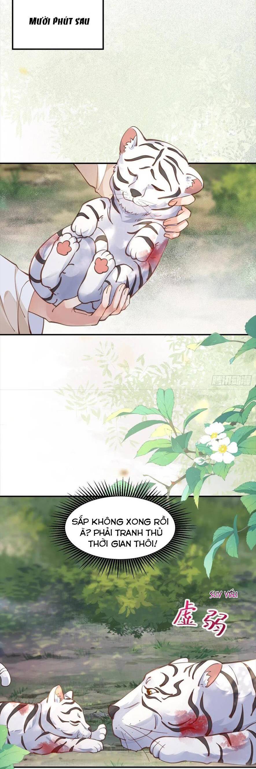 Tuyệt Sắc Quyến Rũ: Quỷ Y Chí Tôn Chap 539 - Next Chap 540