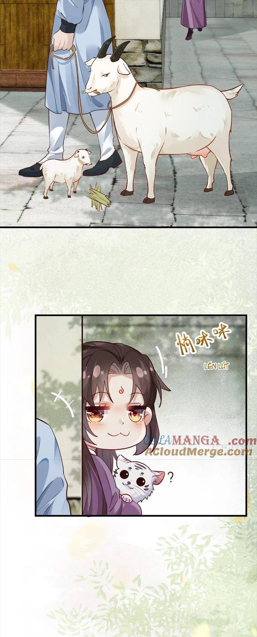 Tuyệt Sắc Quyến Rũ: Quỷ Y Chí Tôn Chap 540 - Next Chap 541