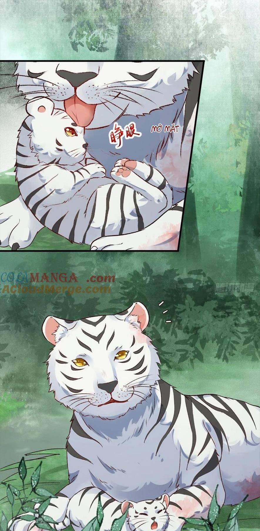 Tuyệt Sắc Quyến Rũ: Quỷ Y Chí Tôn Chap 540 - Next Chap 541