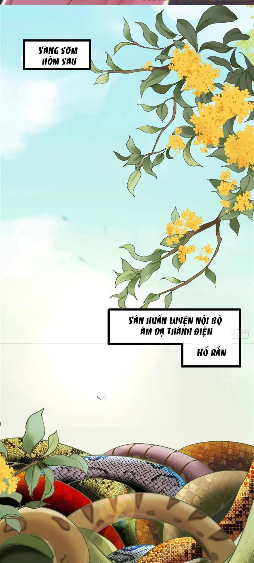 Tuyệt Sắc Quyến Rũ: Quỷ Y Chí Tôn Chap 554 - Next Chap 555