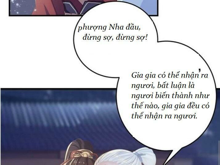 Tuyệt Sắc Quyến Rũ: Quỷ Y Chí Tôn Chap 61 - Next Chap 62