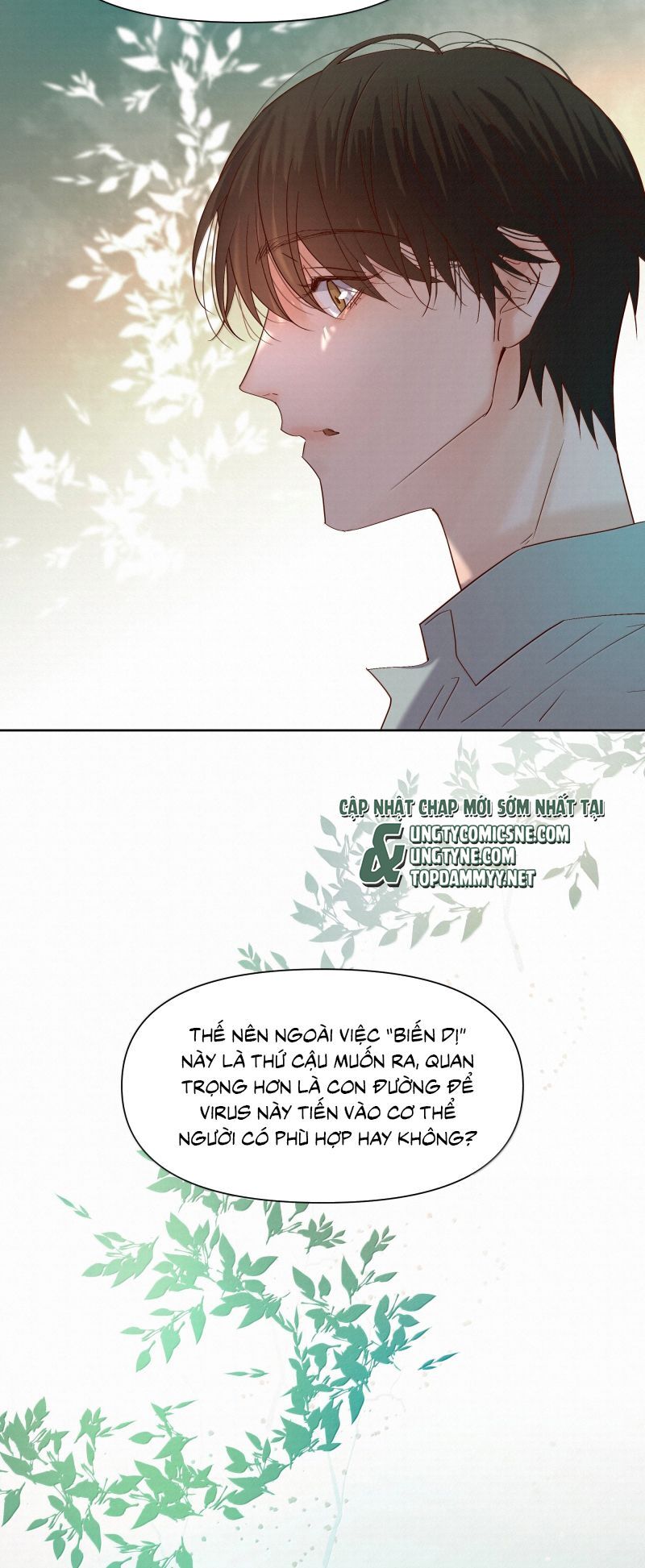 Tuyệt Xử Phùng Sinh Chap 92 - Next Chap 93