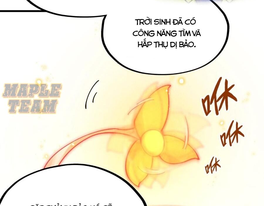 Vạn Cổ Chí Tôn Chap 269 - Next Chap 270