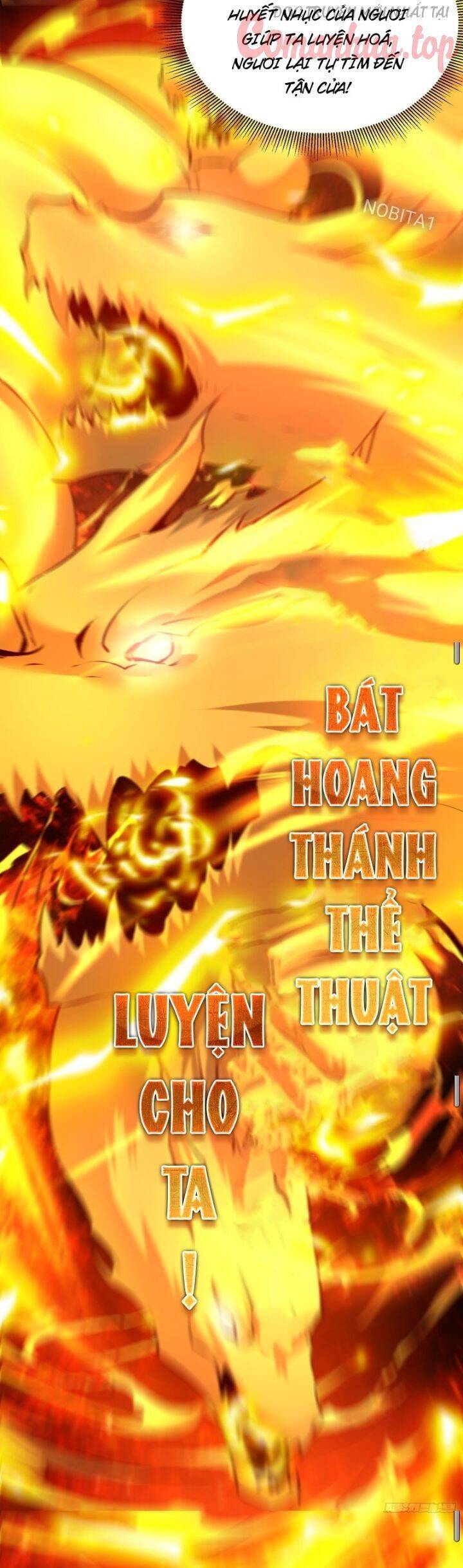 Vạn Đạo Chúa Tể Chap 31 - Next Chap 32