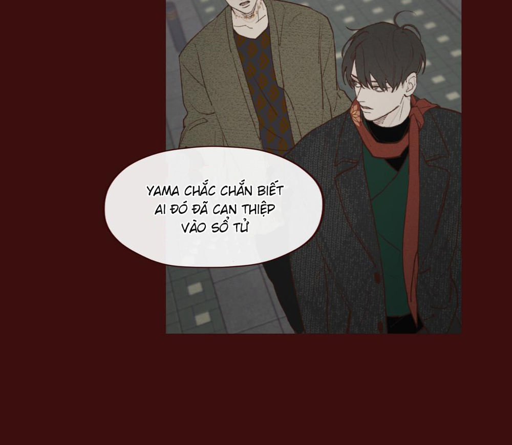 Vận Mệnh Không Mắc Sai Lầm Chap 12 - Next Chap 13