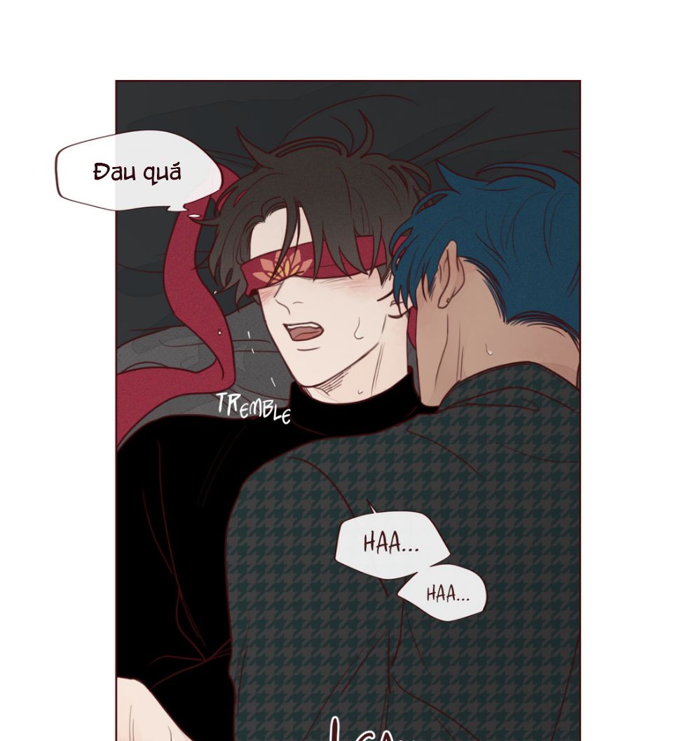 Vận Mệnh Không Mắc Sai Lầm Chap 13 - Next Chap 14