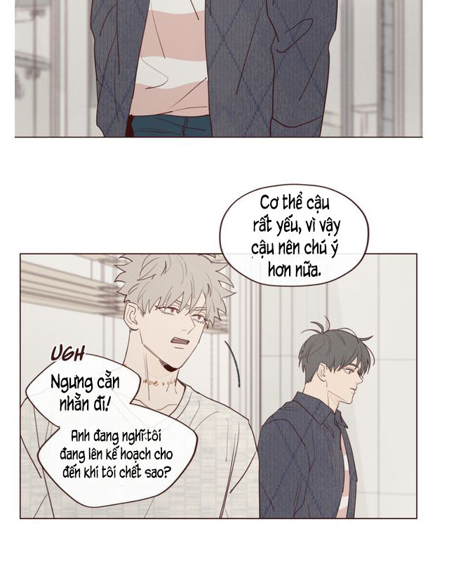 Vận Mệnh Không Mắc Sai Lầm Chap 16 - Next Chap 17