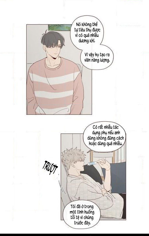 Vận Mệnh Không Mắc Sai Lầm Chap 16 - Next Chap 17