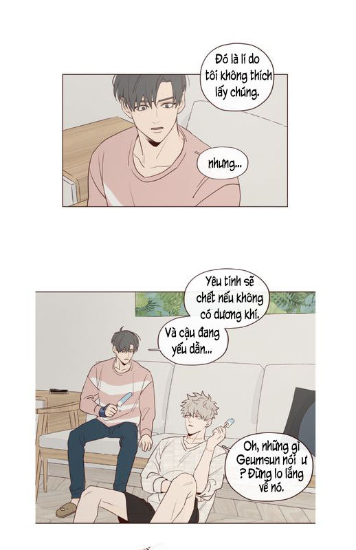 Vận Mệnh Không Mắc Sai Lầm Chap 16 - Next Chap 17