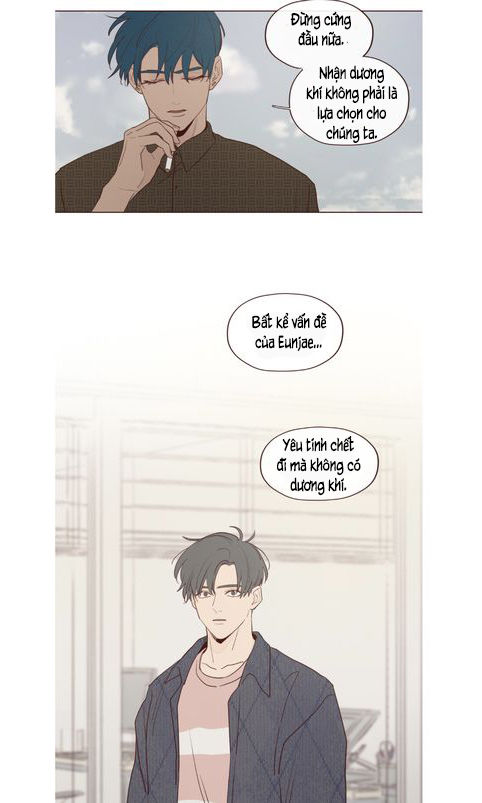 Vận Mệnh Không Mắc Sai Lầm Chap 16 - Next Chap 17