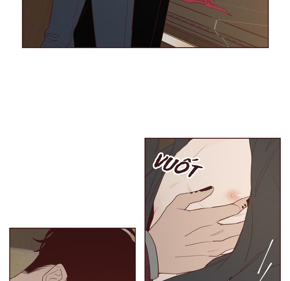 Vận Mệnh Không Mắc Sai Lầm Chap 28 - Next Chap 29