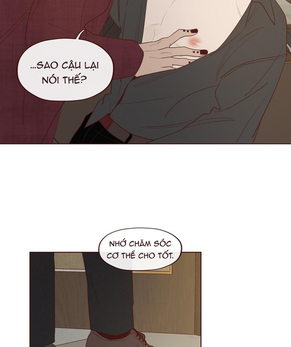 Vận Mệnh Không Mắc Sai Lầm Chap 28 - Next Chap 29