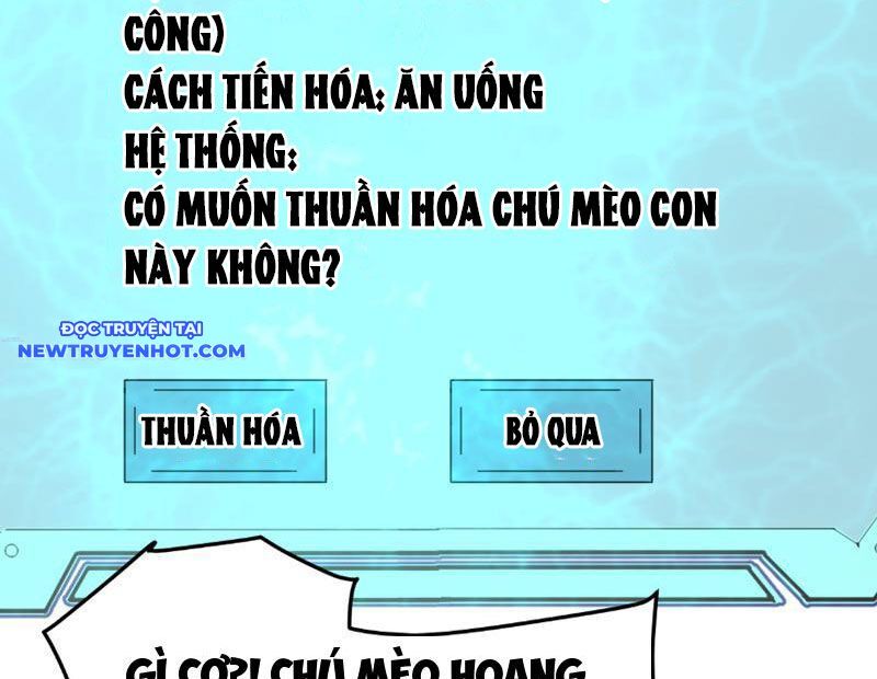 Vạn Tộc Xâm Lược: Bắt Đầu Thuần Hóa Cự Thú Cấp Sử Thi Chap 8 - Next Chap 9