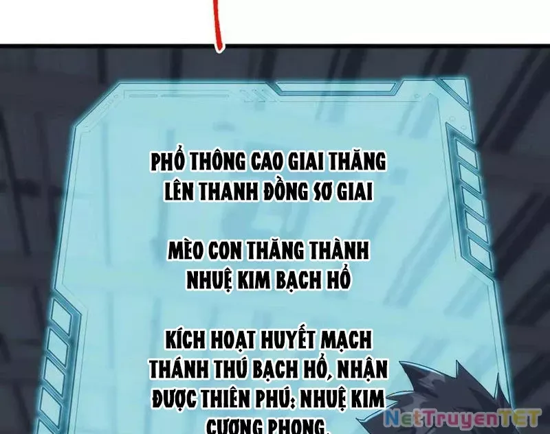 Vạn Tộc Xâm Lược :Mở Đầu Thuần Hóa Cự Thú Cấp Sử Thi Chap 13 - Next Chap 14