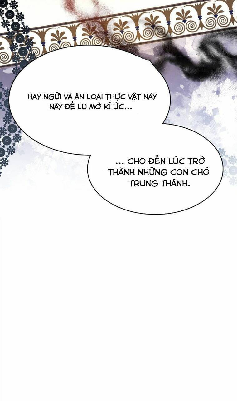 Vì Kết Cục Có Hậu Cho Cuốn Tiểu Thuyết Bi Kịch Chap 7 - Next Chap 8