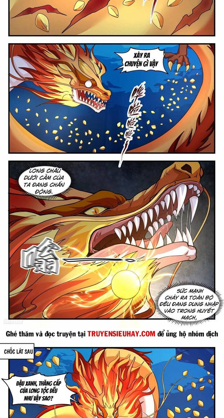 Võ Luyện Đỉnh Phong Chap 3224 - Next Chap 3225