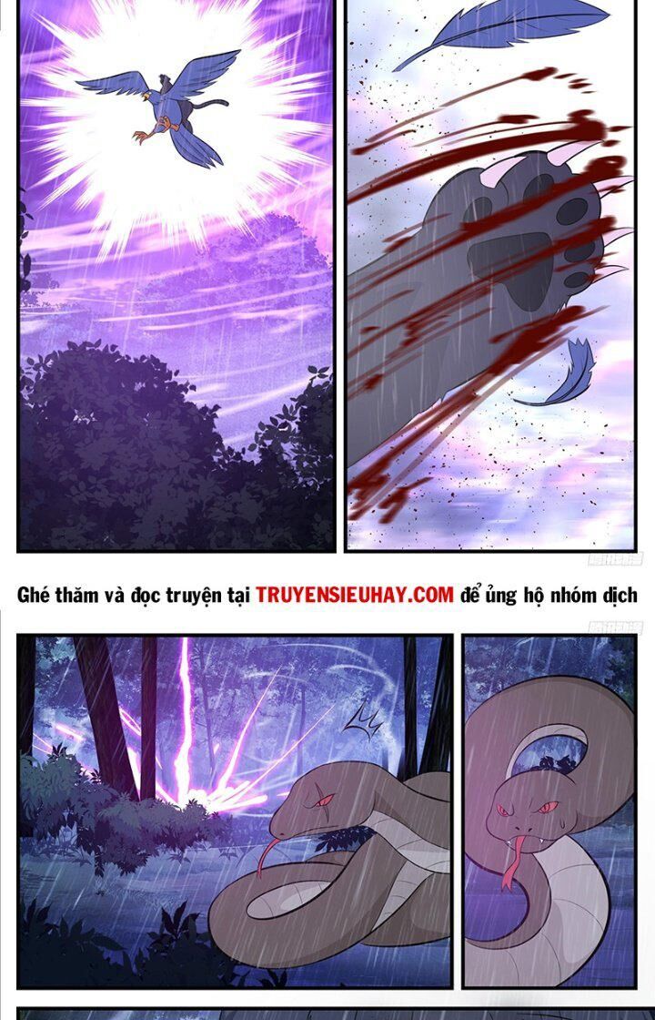Võ Luyện Đỉnh Phong Chap 3414 - Next Chap 3415