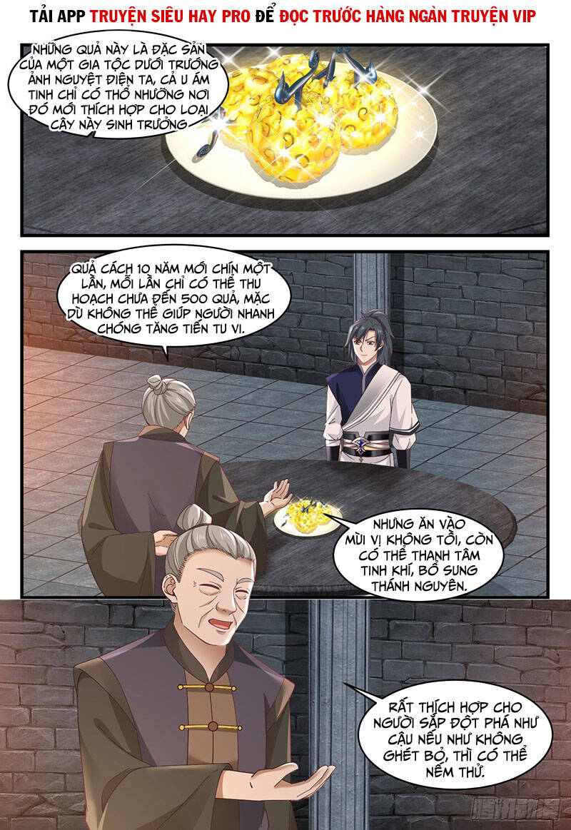 Võ Luyện Đỉnh Phong Chap 999 - Next Chap 1000