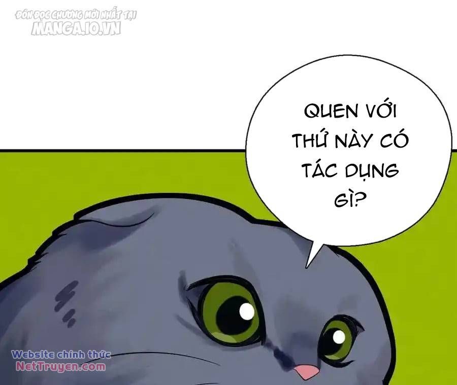 Vợ Ơi, Xin Hãy Ngoan Ngoãn Nhé Chap 64 - Next Chap 65