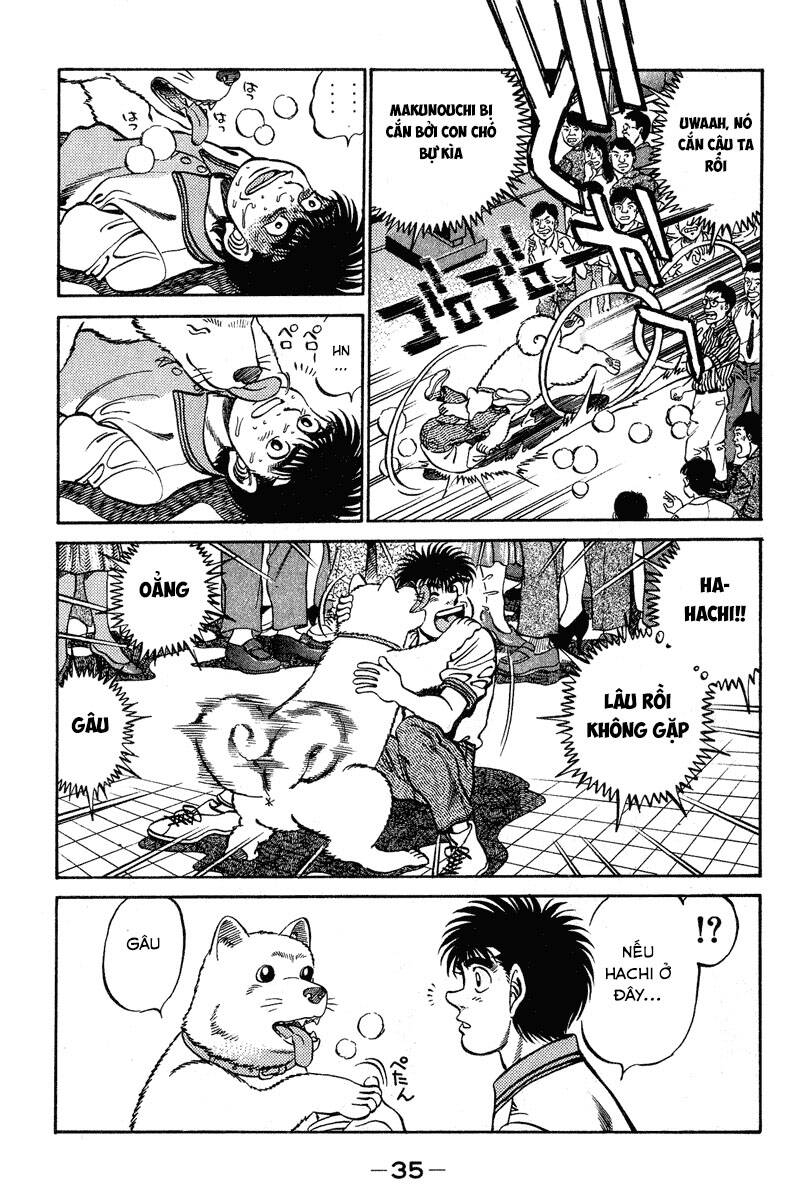Võ Sĩ Quyền Anh Ippo Chap 234 - Next Chap 235